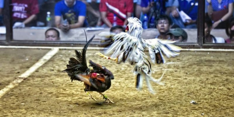 đăng nhập lô đề uy tín