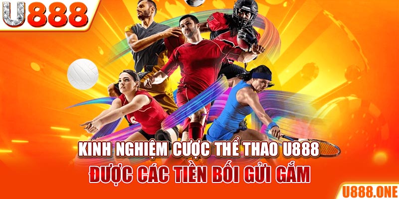 tksv388 ÁT CHỦ BÀI GIÀNH LẤY ZHUANG NIUNIU ( XEM 3 LÁ )