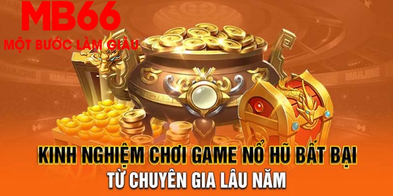 tksv388 đá gà hôm nay