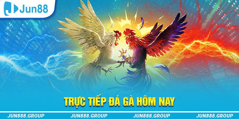 tksv388 trực tiếp đá gà thomo