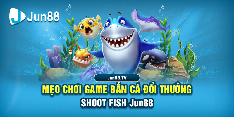 tksv388 tải game đánh bài online về máy tính
