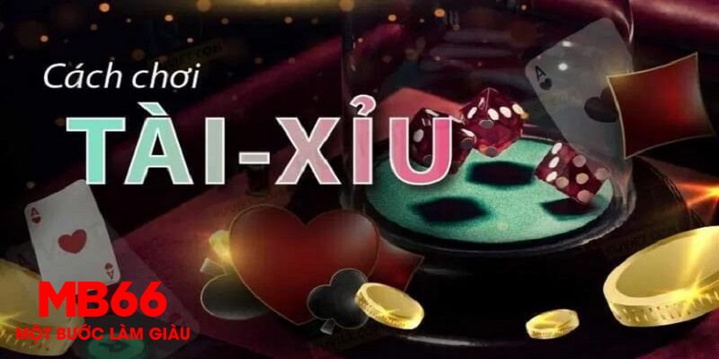 tksv388 1 slot là gì