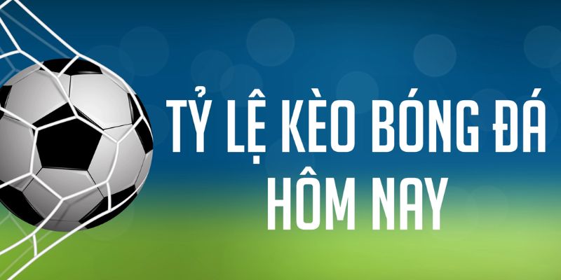 tksv388 ÁT CHỦ MÁY HOA QUẢ THẦN TÀI