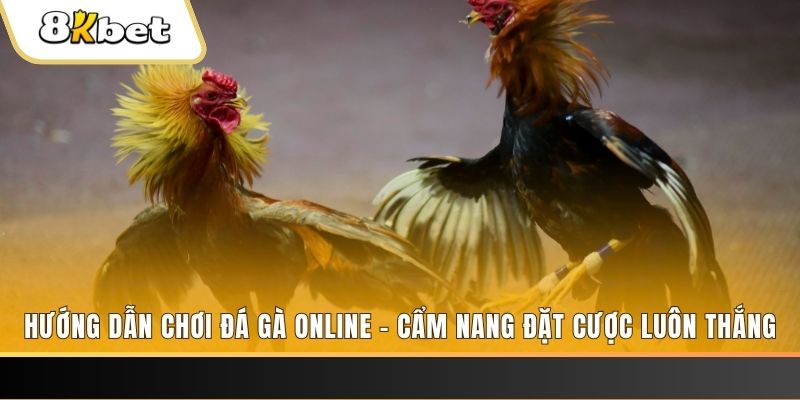 tksv388 tai game danh bai bigkool ve may tinh