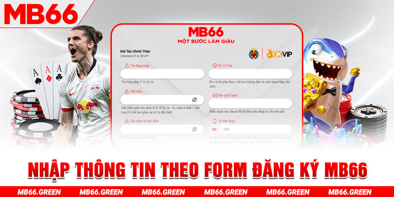 gà chọi c1 thomo