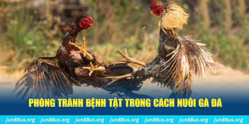 tksv388 natural” trong baccarat nghĩa là gì？
