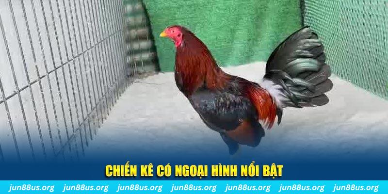 tksv388 nhạc slot là gì